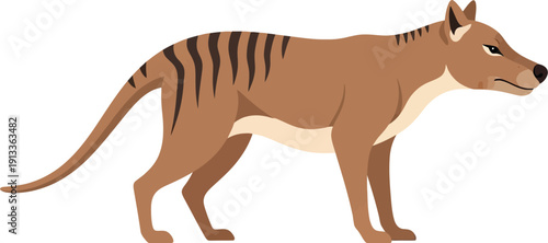 Tasmanian Tiger Cartoon Illustration Isolated on White