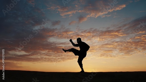 Wallpaper Mural Martial Artist Silhouette at Sunset Torontodigital.ca