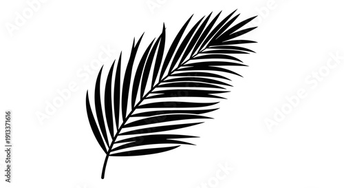 Black palm leaf silhouette on white background.