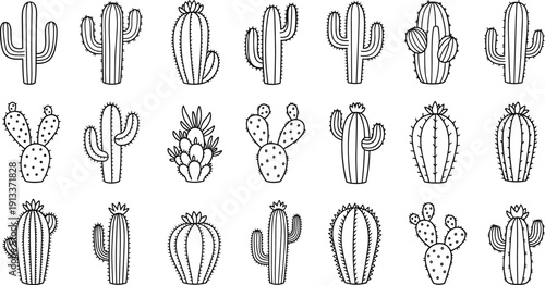 Black and white line of various cacti and succulents cactus line desert plants prickly plants