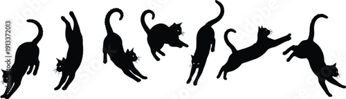 Black cat silhouettes in various poses feline animals