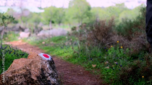 Static shot footage of a man hike on the forest walking next to a hiking sign on the side of the path.