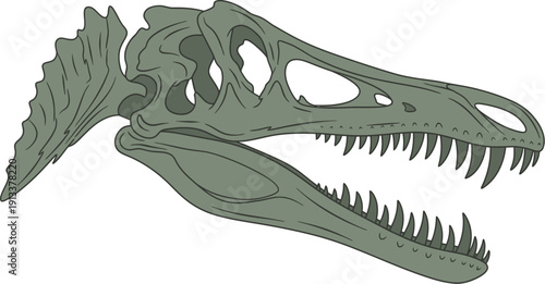 Dinosaur Skull Illustration Side View with Sharp Teeth