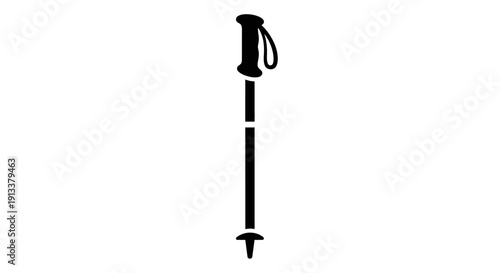 Trekking Pole with Adjustable Handle and Tip.