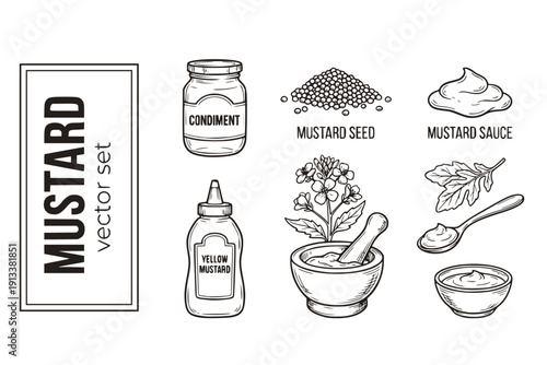 Mustard Mustard-Seed Condiment Mustard-Sauce Yellow-Mustard Mustard-Plant Dijon-Mustard Mustard-Condiment Spicy-Mustard Mustard-Jar Vector Set - Mustard Condiment