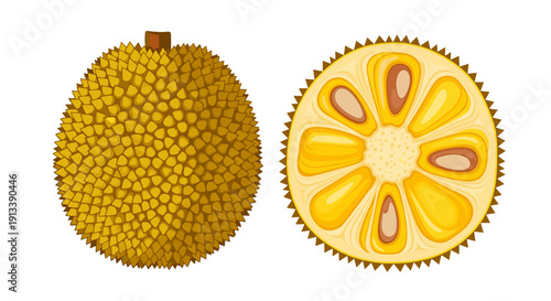 Whole ripe yellow jackfruit displayed alongside a cross-section revealing its bright yellow fleshy segments on an isolated white background.