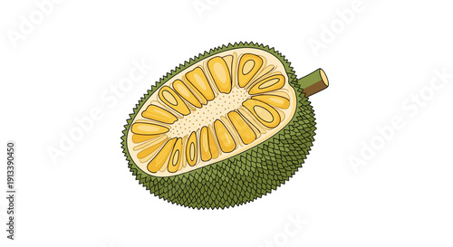 Cross-section of a fresh green jackfruit half revealing its yellow flesh and core on an isolated white background.