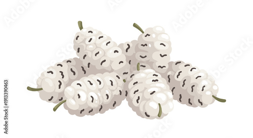 Pile of fresh white mulberries with small dark seeds and green stems scattered together on a plain white background.