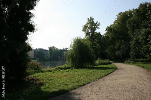 Weg im Park