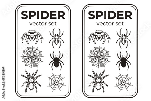 Spider Arachnid Spider-Web Spider-Silhouette Tarantula Web-Spider Spider-Insect Halloween-Spider Black-Widow Spider-Creature Vector Set - Spider Arachnid