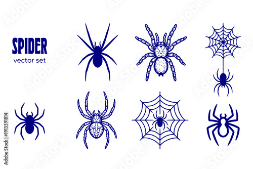 Spider Arachnid Spider-Web Spider-Silhouette Tarantula Web-Spider Spider-Insect Halloween-Spider Black-Widow Spider-Creature Vector Set - Spider Arachnid