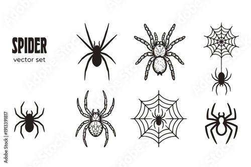 Spider Arachnid Spider-Web Spider-Silhouette Tarantula Web-Spider Spider-Insect Halloween-Spider Black-Widow Spider-Creature Vector Set - Spider Arachnid