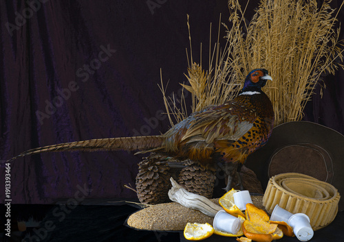 Pheasant bird rooster standing  among supplies after the hunt.. This is a composite photo showing a wild feathered animal. with food, coffee residue, hunters cartridge belt & hat.  This is my property