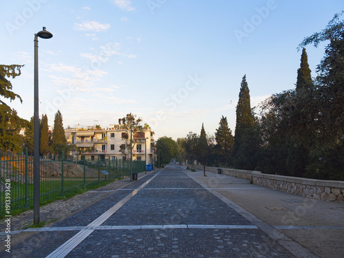 Dionysiou Areopagitou cobblestone street with white markings leading through residential area with cypress trees at dawn, Athens, Greece