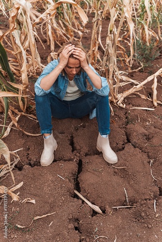 Wallpaper Mural Sad farmer woman holding her head in her hands in front of her withered cornfield Torontodigital.ca