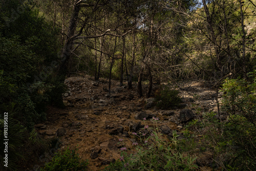 Calm between stones (Calma entre piedras)