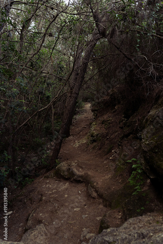 The Route of Silence (La Ruta del Silencio)