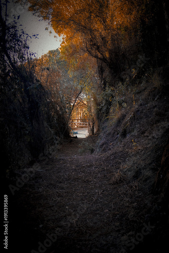 Light at the End of the Path (Luz al Final del Sendero)