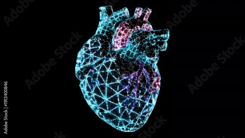 Abstract human heart motion graphics,  2 in 1 ( heartbeat animation on black and transparent backgrounds), Seamless Loop, 4K resolution. Codec ProRes 4444 with alpha channel. Not AI Generated	