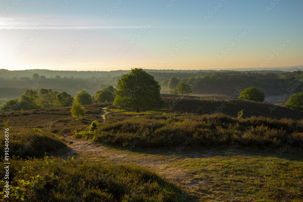 Obraz premium Spring sunrise on the Posbank