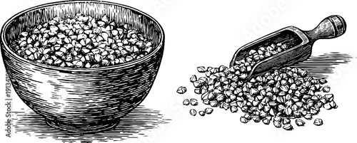 Vintage engraved illustration set of buckwheat groats in bowl and scoop for retro design