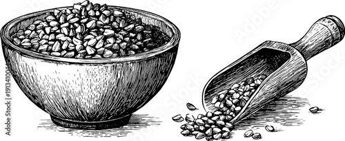 Vintage engraved illustration of buckwheat groats in bowl and scoop for rustic design