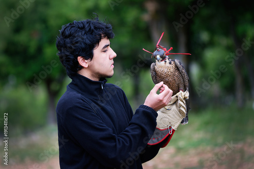 Falconry Peregrine Falcon