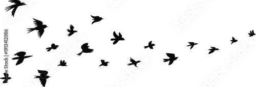 Flying Bird Silhouette Collection Featuring Flock in Motion Isolated on White Background Vector Illustration Set for Nature Design Projects