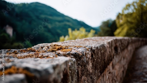 Wallpaper Mural Mossy Stone Wall with Mountain Backdrop Torontodigital.ca