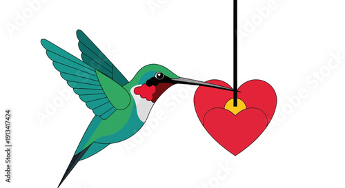 Vibrant hummingbird with green feathers and red gorget sipping nectar from a hanging red heart-shaped Valentine's Day decoration