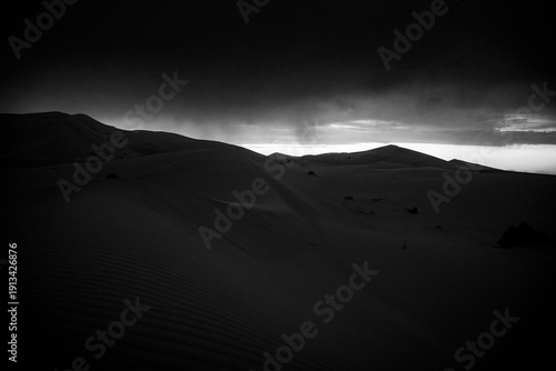 sand dunes in the desert