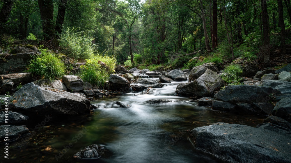 Obraz premium Tranquil Stream in a Lush Forest