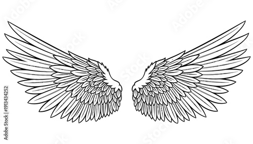 Detailed illustration of a pair of large feathered wings in black outline symmetrical and spread wide suggesting angelic or mythical flight bird wing angel wing black and white