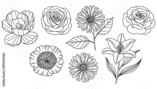 A collection of seven detailed line drawings featuring various blooming flowers including roses lilies and daisies presented as individual graphic elements floral botanical