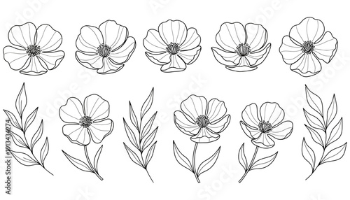A collection of delicate line art illustrations featuring blooming wildflowers and slender leafy branches arranged in two horizontal rows floral botanical nature drawing sketch