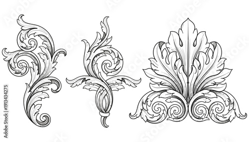 Ornate baroque decorative elements with swirling acanthus leaves and floral scrolls in a classic hand drawn ink style vintage antique embellishment flourish design illustration