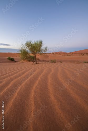 sand dunes in the sahara desert
