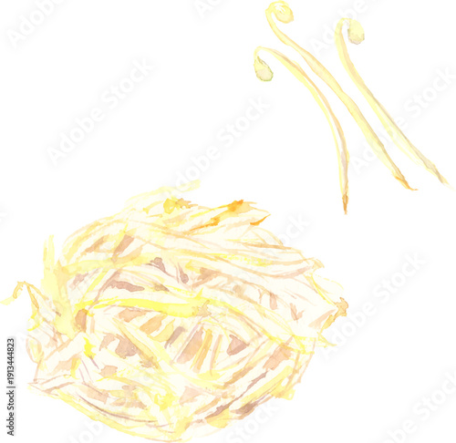 水彩で描いたもやしのイラスト　ベクター