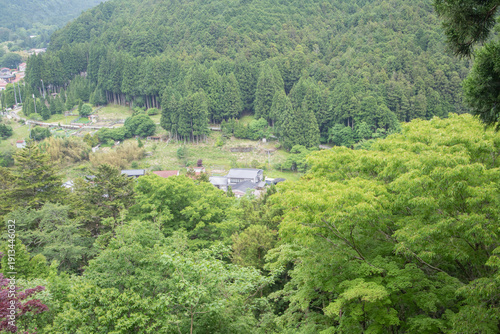 山あいに佇む静かな集落と豊かな森林