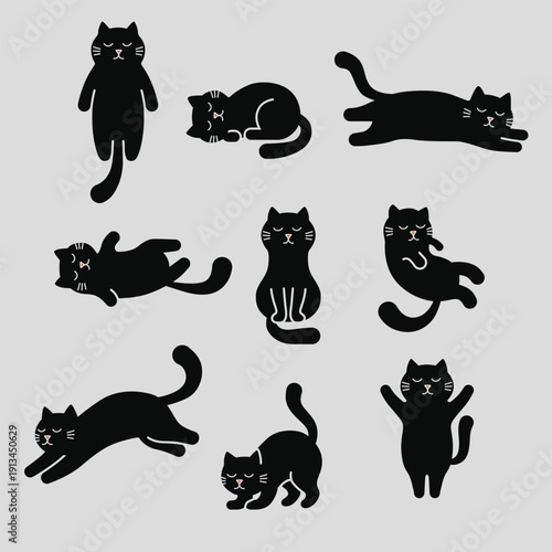 cat pose illustration