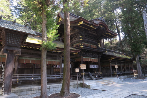 森に抱かれた神社の静寂