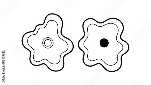 Two abstract floral shapes one with a central circle and the other with a filled dot