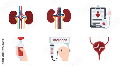Urology and Nephrology Icons Set. Kidney Anatomy, Bladder Health, Diagnosis, Dialysis, and Treatment Flat Vector Collection.