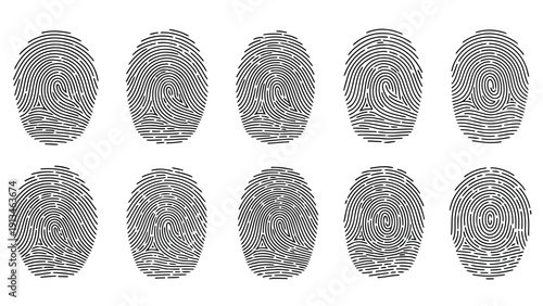 A collection of ten grayscale fingerprints arranged in two rows exhibiting unique ridge patterns