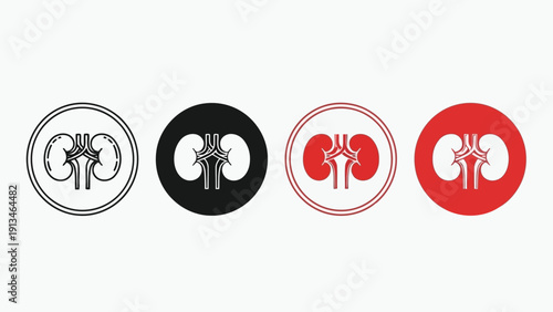 Four stylized depictions of human kidneys within circles showcasing different color schemes high quality