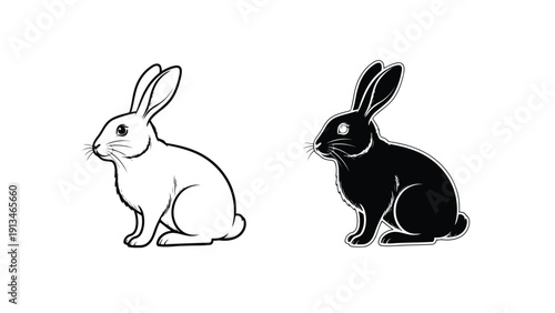A simple illustration depicts two rabbits one white and one black in a contrasting style