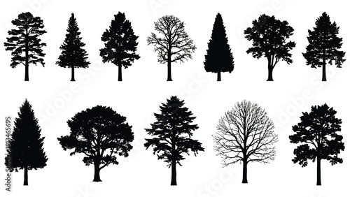 A collection of diverse tree silhouettes against a plain white background showcasing varied shapes