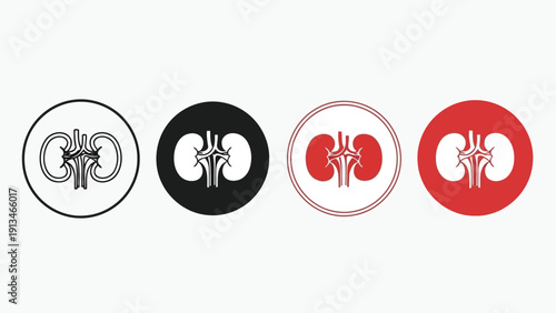 Four variations of a stylized human kidney illustration progressing from black and white to red