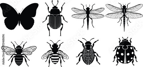 Collection of detailed insect vector silhouettes featuring butterfly, beetle, dragonfly, bee, and ladybug icons for nature, biology education, entomology projects and graphic design