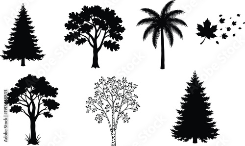 Collection of detailed tree silhouettes including pine, oak, birch, palm and falling maple leaves, natural landscape botanical vector illustration set for forest, garden, and design use